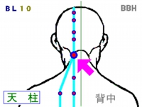 肩こりに効果のある天柱というツボの場所を図解しています。