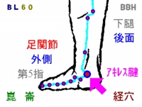 腰痛に効果のある崑崙(こんろん)というツボの場所を図解しています。