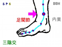 冷え症に対する鍼灸（はりきゅう）治療で効果のにある三陰交（さんいんこう）というツボの場所を示した図解。