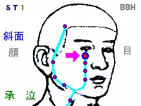 花粉症に効果のある「承泣（しょうきゅう）」というツボの図解