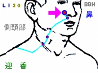 花粉症に効果のある「迎香（げいこう）」というツボの図解