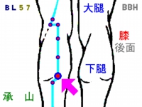 こむら返りの効果のある「