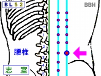 ぎっくり腰への鍼灸（はりきゅう）治療で使用する「志室（ししつ）」といいうツボの図解