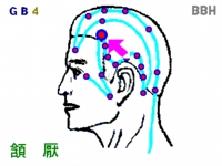 片頭痛の鍼灸(はりきゅう)治療で使う頷厭(がんえん)というツボの図解