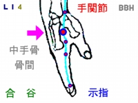 テニス肘の鍼灸（はりきゅう）治療で使う合谷（ごうこく）というツボの図解