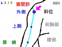 五十肩の鍼灸（はりきゅう）治療で使う肩髃（けんぐう）というツボの図解