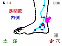 不眠症の鍼灸(はりきゅう)治療で使用する太谿(たいけい)というツボの図解
