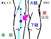 腰椎椎間板ヘルニアの鍼灸(はりきゅう)治療で使用する承筋(しょうきん)というツボの図解