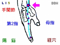 ドケルバン病の鍼灸治療で使用する「陽谿(ようけい)」というツボの図解